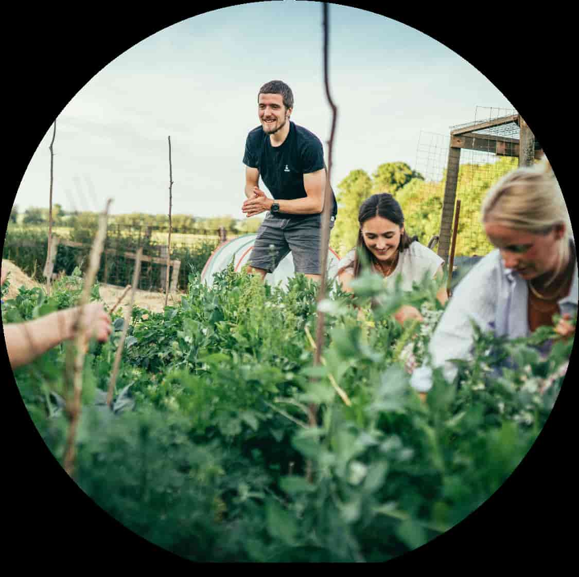 GROOME - Teambuidling durch nachhaltige Gartenarbeit